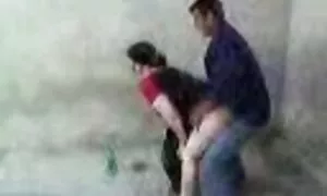 Uzbek tozuru okè gba ...